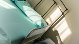 Healthy Senior Bed Rails