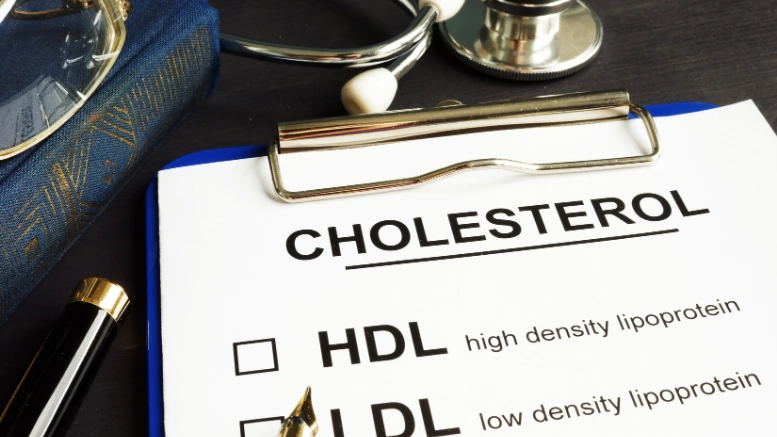 Healthy Senior Cholesterol Health Large