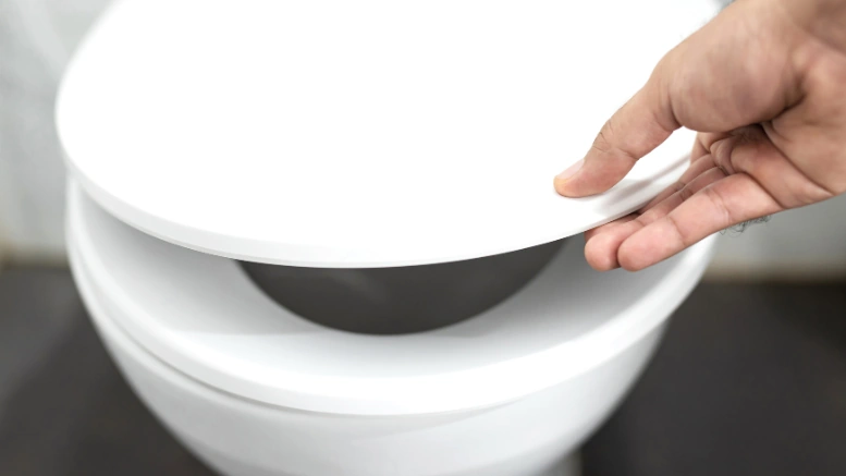 Raised Toilet Seats Benefits