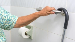 healthy Senior Shower Grab Bars