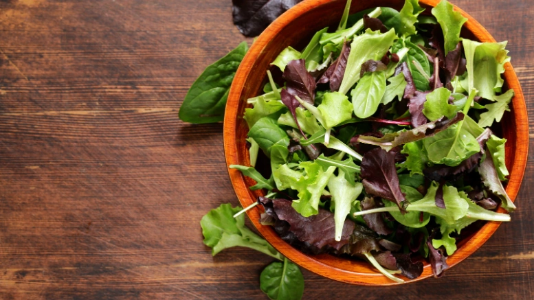 Healthy Spring Salad Large