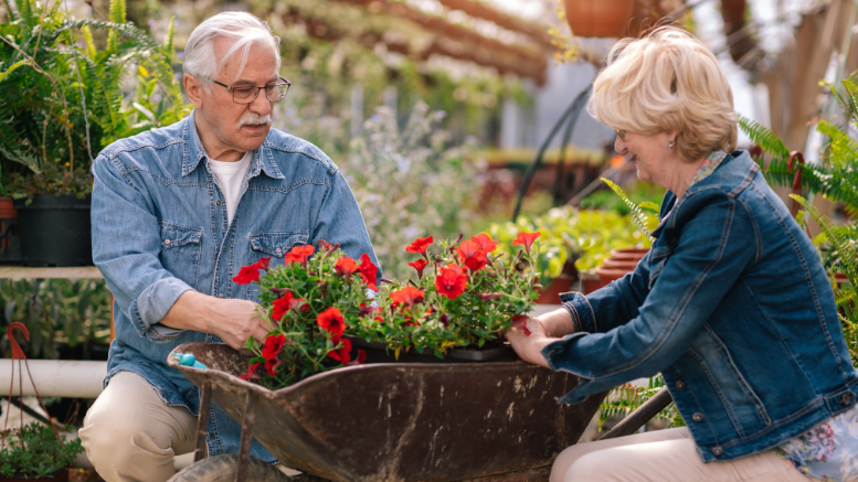 Healthy Senior Neck Pain Elderly Senior Large