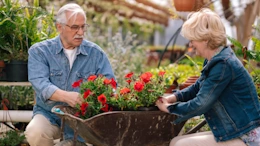 Gardening For Seniors
