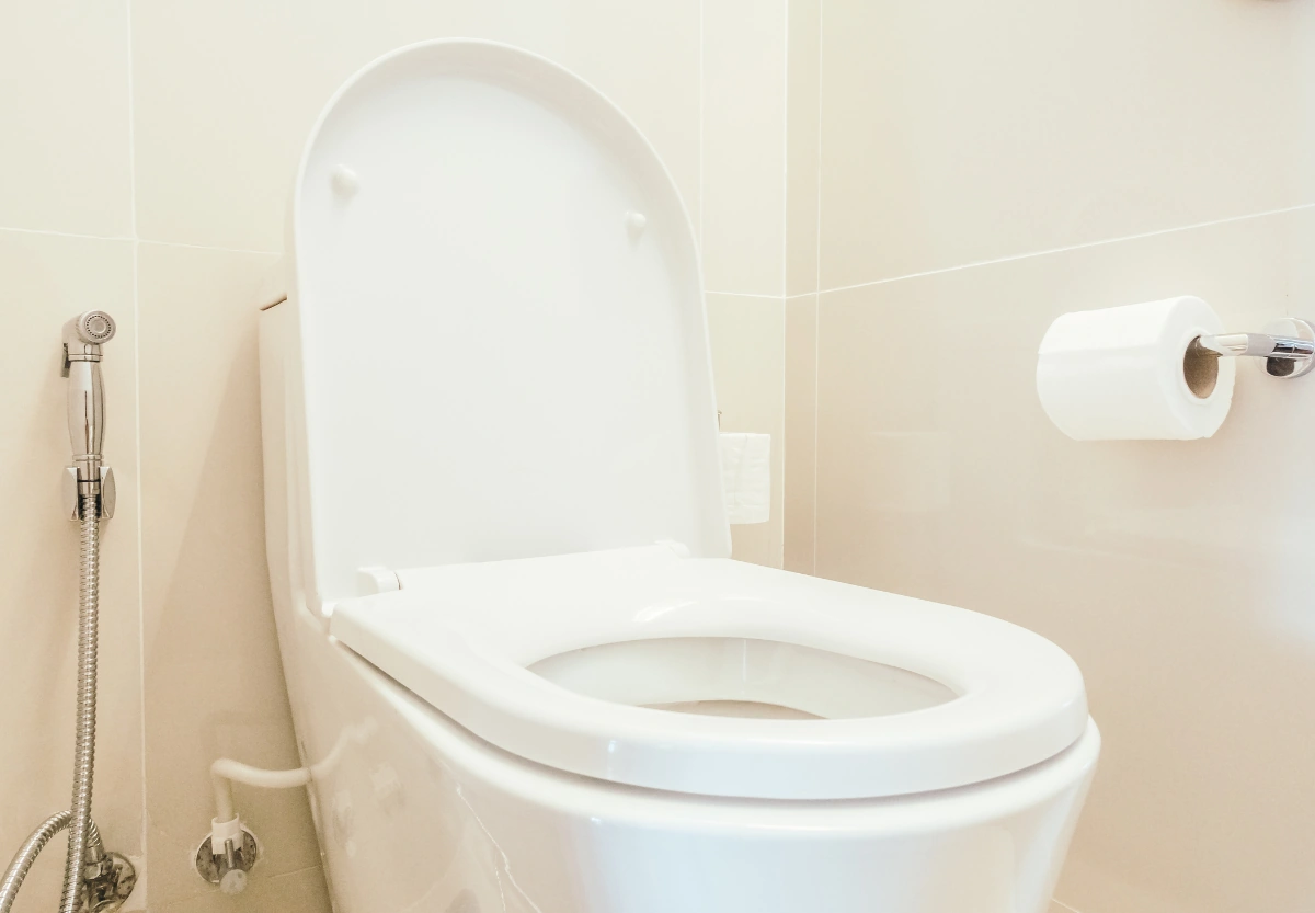 Kohler Raised Toilet Seat